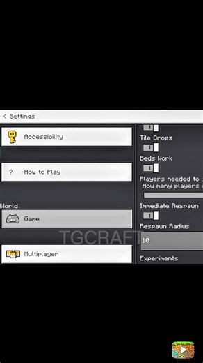 Important settings in #minecraft | #minecraft gameplay | #minecraftshorts #minecraftmemes