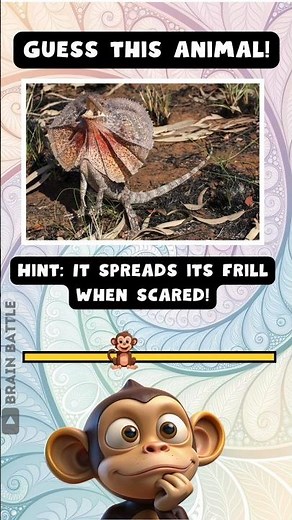 This Lizard Runs on Two Legs! 🦎 Can You Guess It?