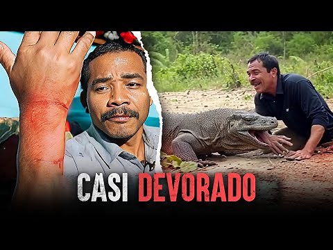 Ataques de Komodo REALES y cómo sobrevivirlos