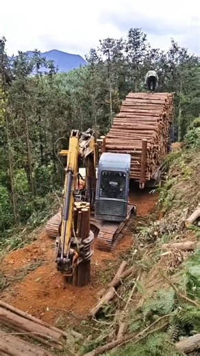 Loading Logs with a Wood Grabber 🪵🚛