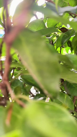 Discover Akwa Hin: The Ultimate Retreat in Douala