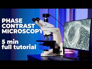 How to: Phase contrast microscopy. Microscope setup in 2026