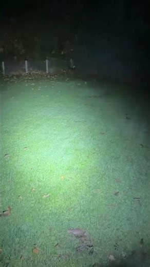 Amazon's brightest bicycle light in the test