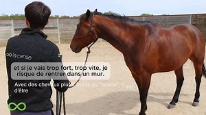 🐴 Faire reculer un cheval froid : faire peu pour obtenir beaucoup Ca vous est déjà arrivé ? Plus le cheval est froid, moins il est sensible à l’inconfort qu’on met. Et plus il nous pousse à en faire, moins lui va en faire. 🎓 Comment faire ? Explications avec Manuel Godin. 👉 Notre objectif avec un cheval froid (mais en fait avec tous les chevaux), c’est faire peu pour obtenir beaucoup. 🔑 Comment s’y prendre ? ✅ Le plus important est de demander comme s’il était très très sensible (vraiment !)