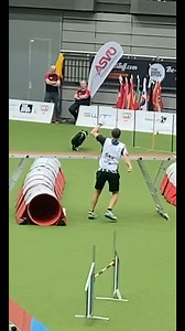 Throwback to the Agility World Championships 2022 Austria ❤ Snooze ❤ One of my favourite and most gutting runs all in one, but thats agility 🫣🧐 A super tough and memorable agility course, faultless skills but 1 pole. #dogtrainer #trainer #dogtraining #intoshapeagilityonline #puppytraining #intoshapeagility #onlinedogtraining #dogagility #dogagilitytraining #onlinedogagilitytraining #dog | Into Shape Agility