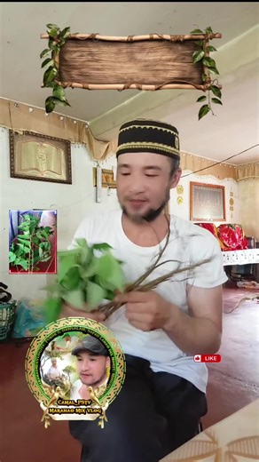 Exploring Traditional Healing Practices in Culture