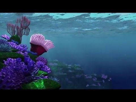 Finding Nemo Opening Scene Recreation