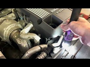 3.0L Duramax P0016 Money Code Timing Chain Diagnosis... Special Guest Appearance 🦌