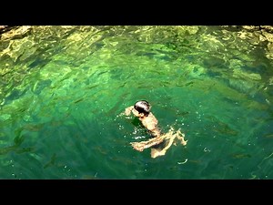 How to well swimming