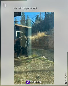 What’s going on | Betch