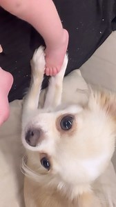 261K views · 3.2K reactions | She loves her 梁 | Miss Mamma Sorriso | Facebook