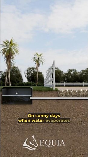 EQUIA - Ebb and Flow in 20 seconds #equestrian #ebbandflow