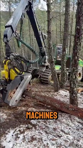 The Best Automatic Tree Cutting Machine