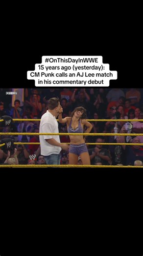 AJ Lee's Impact in WWE: A Fan's Perspective