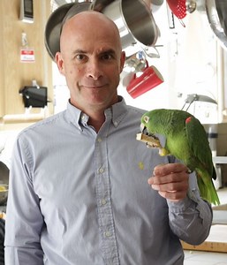 Steve Dorner - Alchetron, The Free Social Encyclopedia