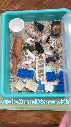 I am working on animas of the arctic in Zoology with the big kids so made Tate a sensory bin based on some of the animals we are learning about. Generally Tate works on his preschool learning next to us, but we have included him in our arctic animal exploration in a few ways. We read a children’s book about arctic animals, watched videos, and now he will play with this sensory bin. #homeschool #preschoolathome #sensoryplay #homeschooling #learnthroughplay