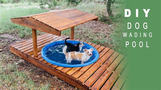 Build a dog wading pool for backyard summer fun