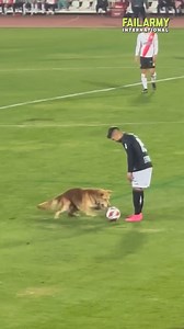 44K views · 107 reactions | Best soccer fails or best FOOTBALL fails? ⚽️ #football #soccer #sportsbloopers #failarmy | This is Happening | Facebook