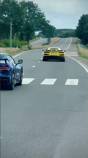 2x Corvette C8 Stingray