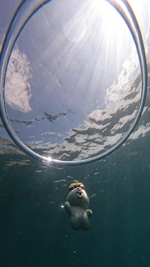 んぽの海中散歩inプーケットとサムイ島