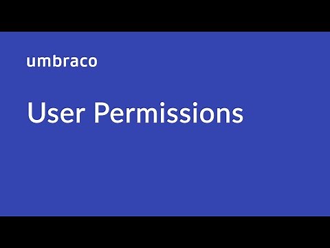 Users in Umbraco: User Permissions