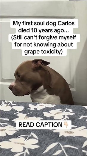 READ CAPTION👇🏻