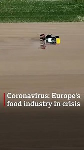 882K views · 4.8K reactions | 凜 Unsold potatoes 塞 Unpicked veg 燎 Rotten cheese How Europe is dealing with a collapse in the food industry because of the coronavirus crisis. bbc.in/2AMOUKX | BBC News | Facebook