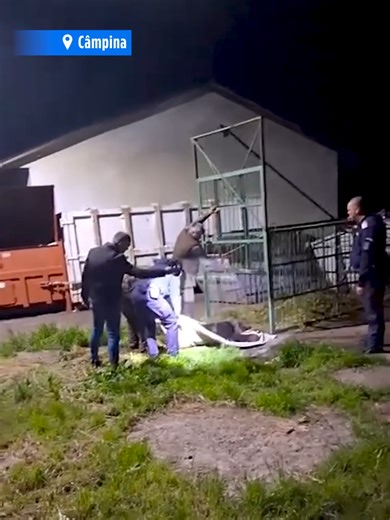 Un urs care a ajuns în incinta școlii de Agenți de Poliție din Câmpina a fost capturat de autorități într-o cușcă specială. Animalul sălbatic fusese observat de mai multe ori în zonă iar în ultimele zile, iar reprezentanții fondului cinegetic au decis montarea unei capcane. În continuare, ursul urmează să fie relocat în siguranță. Autoritățile recomandă oamenilor să nu se apropie de animale sălbatice și să evite orice comportament care le-ar putea provoca, să sune la 112 când observă astfel de a