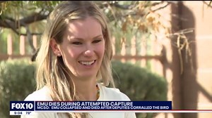 Escaped pet emu dies as Arizona cops lasso and wrestle it: ‘Richard was our family and they killed her’