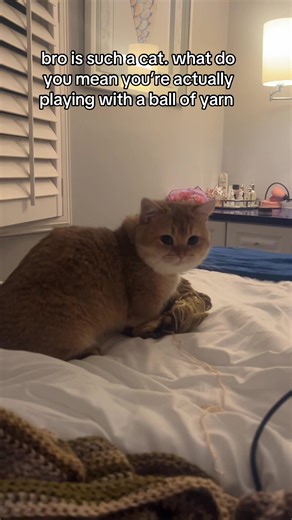 Crocheting with Cats: Fun Tips and Tricks