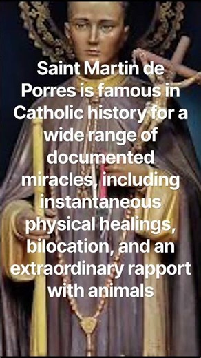 Saint Martin de porres a Catholic saint from #peru #latin #latinamerica #panama #american #miracle