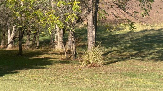 Dane Kitner on Reels