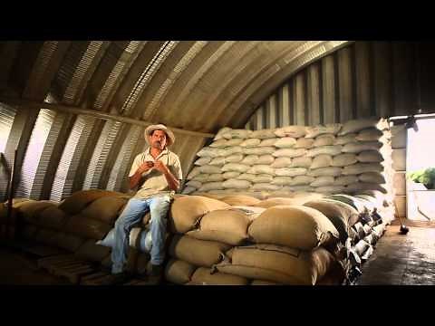 Documental Café de Costa Rica. Los rostros, los paisajes, la historia - 2014