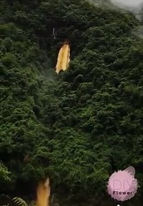 18K views · 75 reactions | 15 Most Interesting And Weird Things | Best Videos | Facebook