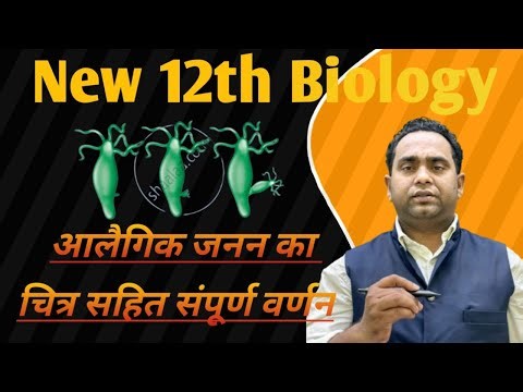 12th biology asexual reproduction