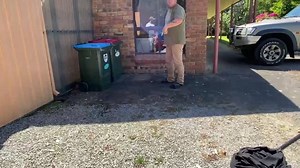 159K views · 327 reactions | A red belly black eating an eastern brown snake in Mount Compass this morning. The black snake had a third of the brown snake down before we interrupted, but still alive to live another day! | Snake Catchers Adelaide | Facebook