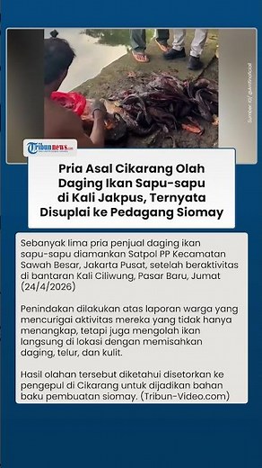 5 Pria Pengolah Ikan Sapu-Sapu Diamankan di Jakpus, Daging Disetorkan ke Pedagang Siomay