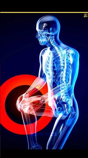 Biological Difference Between Male And Female Body