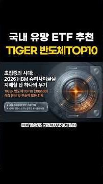 반도체 ETF 추천 TIGER 반도체TOP10