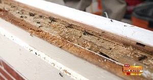 How Small Home Exterior Problems Can Be Something More