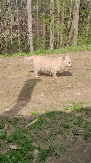 Me Sitting Outside Enjoying The Pretty Spring Day