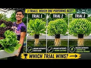 ORGANIC HYDROPONICS | Complete Tutorials for Beginners