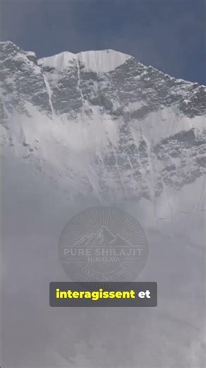 D’où vient la force du Shilajit ?