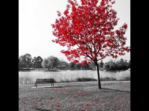 Nick Cave - The Weeping Song