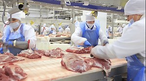 Food Handling Safety Training - [Complete Video Kit]