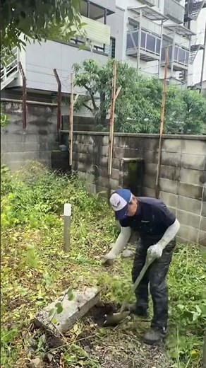 【唖然⁉️】庭園にはびこるヌスビトハギとアメリカンゴボウ😭クワとシャベルの人力で、根っこから全て引き抜く悪戦苦闘の荒技🤣 #草抜き #悪戦苦闘