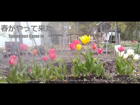 #春がやって来た 「Spring has Come in」 #オリジナル曲 #マリンバ #ピアノ #オルガン #ベース #ドラム #トランペット #トロンボーン #エレキギター #アコーディオン