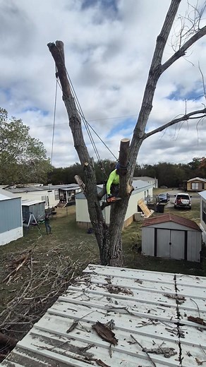 Kings Tree Services, LLC on Reels