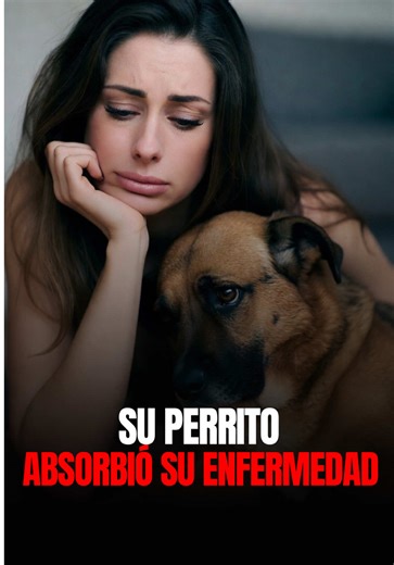 ¿Cuánto es el amor que nos tienen nuestras mascotas? En esta historia, una perrita se puso en el lugar de su dueña para que ella sanara. @Lupita_capistran #180lpmpodcast #dog #dogstory #mascotas #paranormal