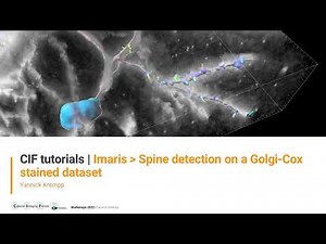CIF Tutorials | Imaris : Spine detection on a Golgi-cox prepared sample